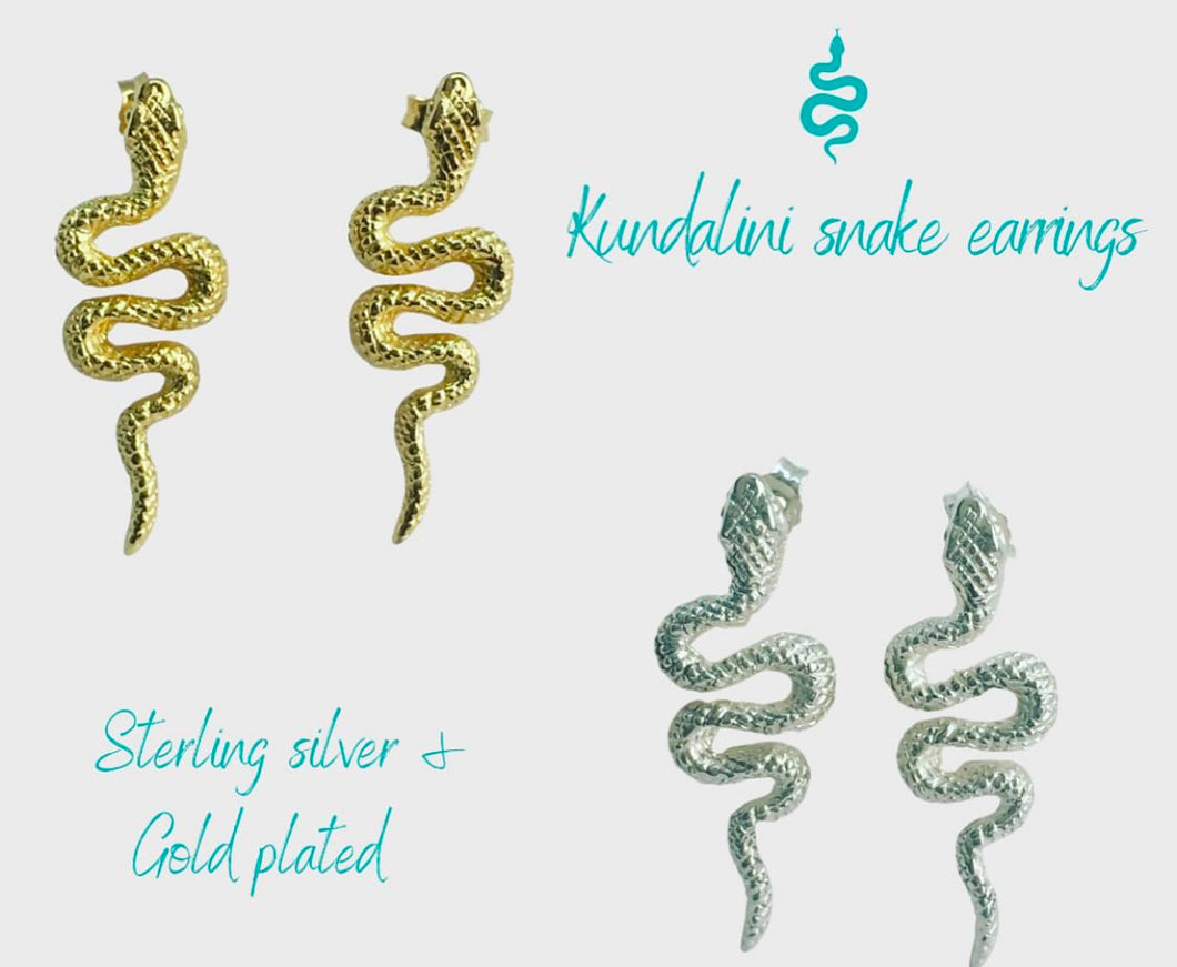 Silver Snake Earrings