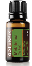 Load image into Gallery viewer, doTERRA Melaleuca